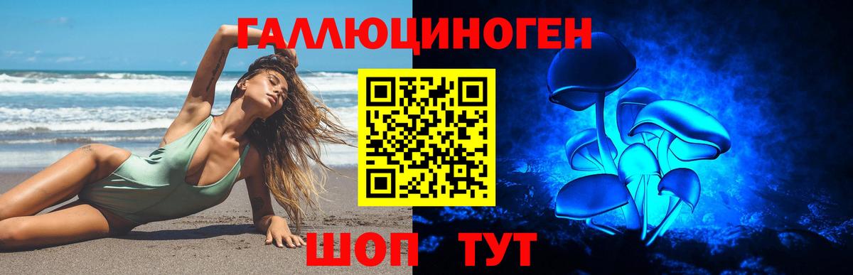 Псилоцибиновые грибы Cubensis  Вход с VPN  Нижнекамск  Галлюциногенные грибы GOLDEN TEACHER 